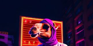 The camel never rushes, but always reaches its goal The camel never rushes, but always reaches its goal