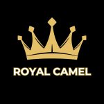 Royal Camel: 777 NFTs – Why This Collection and Who Gets the Exclusive Offer? ROYAL CAMEL